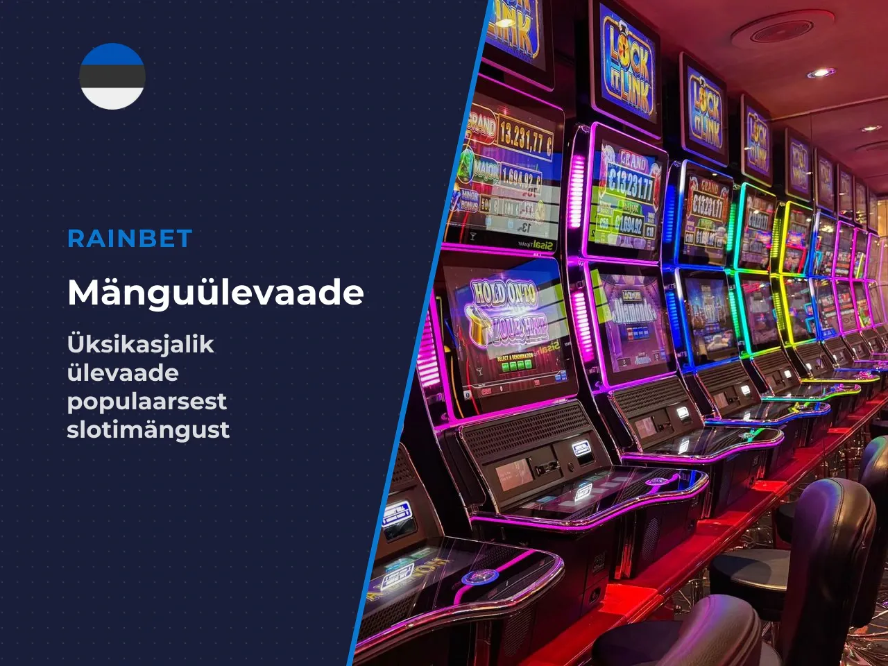 Mida kasutajad peavad eelisteks ja puudusteks