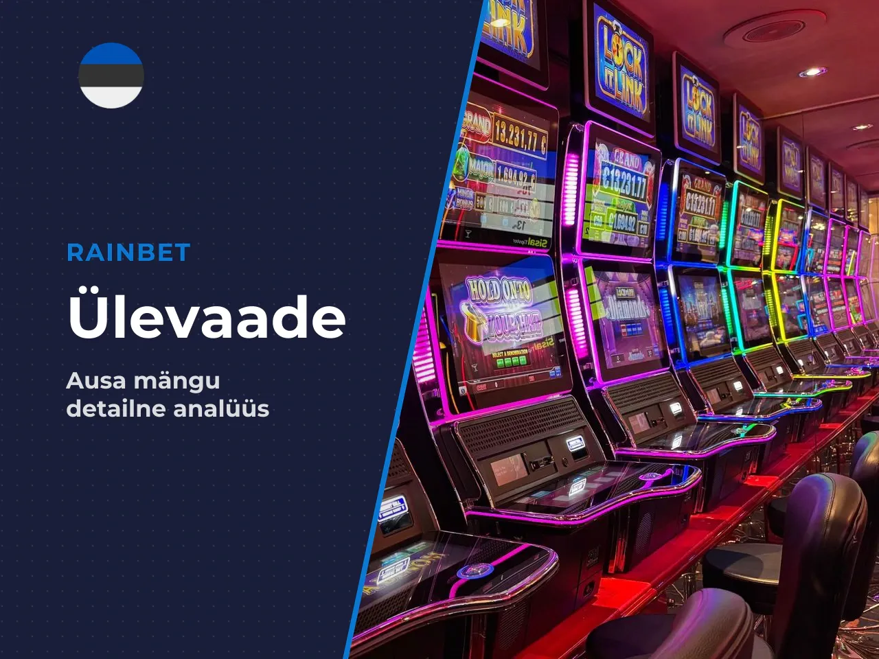 Kellele see ülevaade on kirjutatud ja