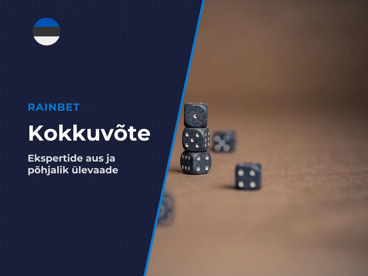 Meie kokkuvõte ja soovitused
